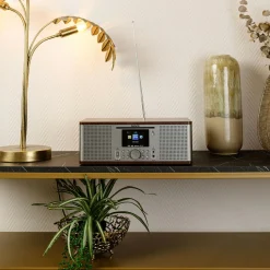 Lenco DIR-270WD Internetradio - Walnuss,Silber