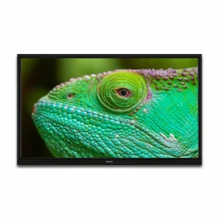 Lenco LED-2423BK 24-Zolll Fernsehen