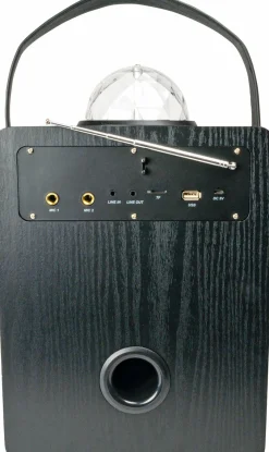 Schwaiger Bluetooth Party Lautsprecher