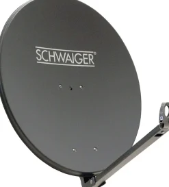 Schwaiger SPI710 Anthrazit 75 cm Antenne