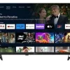 Telesystem Palco TS22FHD Google 22„ Smart TV